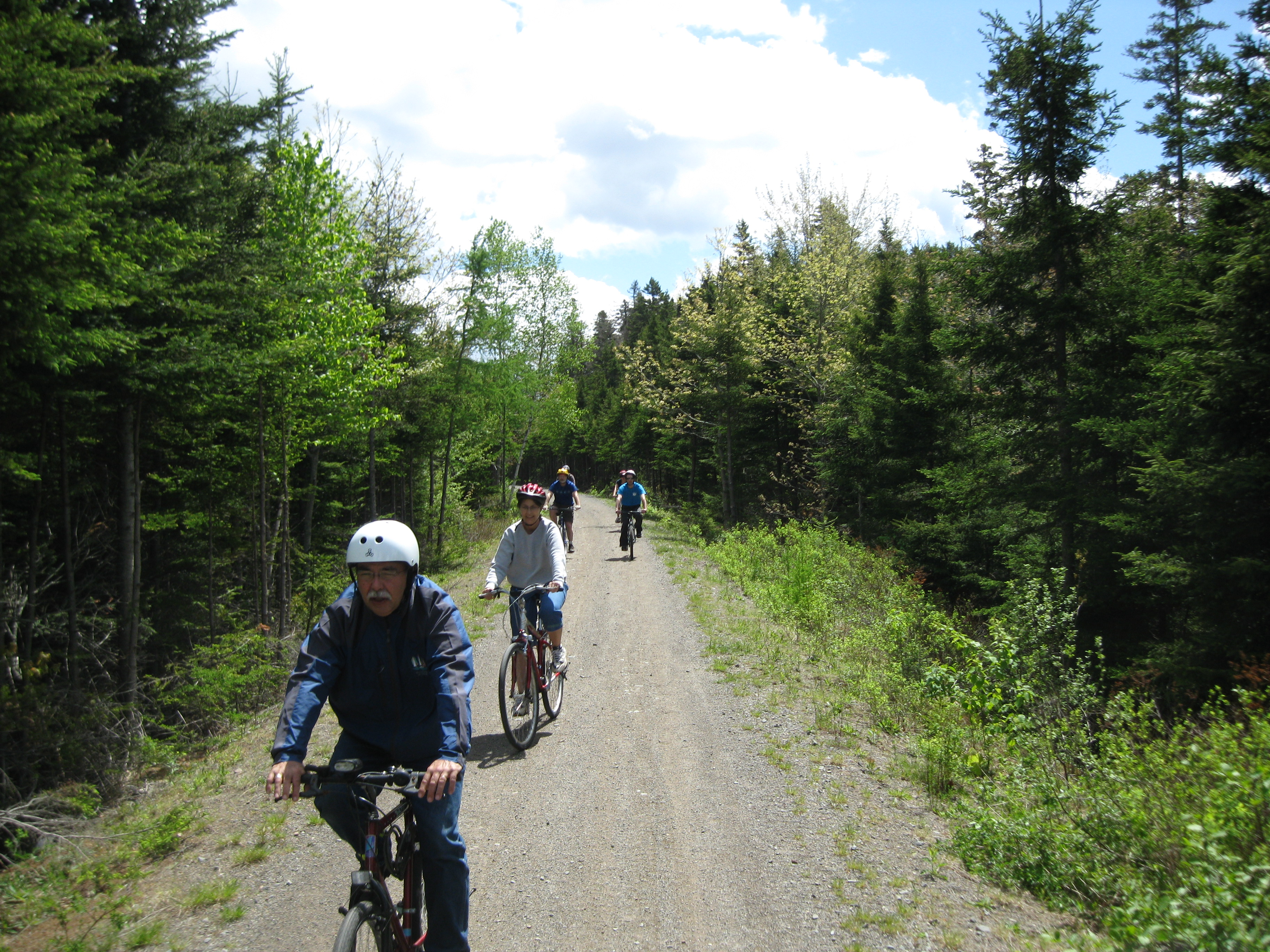 Cyclists on a trail