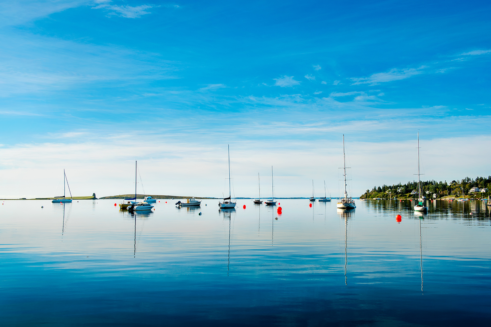 sailboats in Chester Harbour on a sunny day with blue skies reflected on calm ocean water