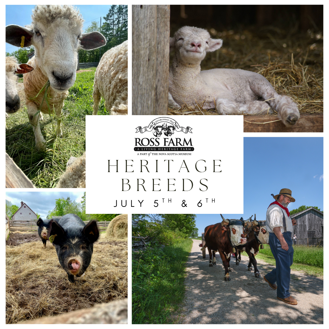 Pictures from top to bottom, sheep, lamb, pigs, and oxen, with the ross farm museum logo in the middle. Under logo, it says the date and name of event