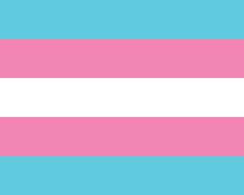 colours of the transgender flag