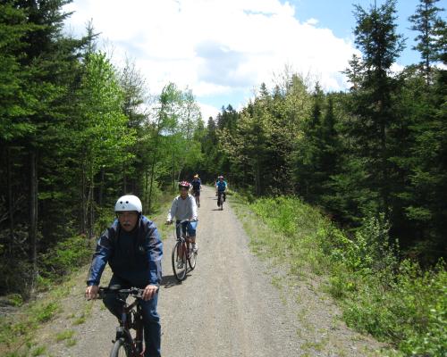 Cyclists on a trail