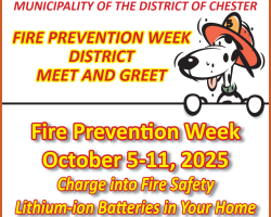 Cartoon dalmatian with event description also found in body of post
