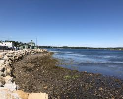 Wild Rose Park coastal view with blue skies